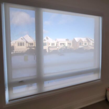 Roller Blind - Image 5
